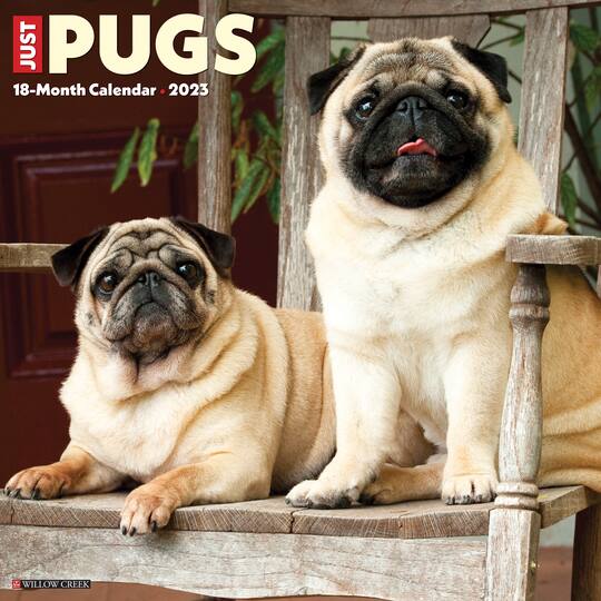 2023 Just Pugs Wall Calendar Michaels
